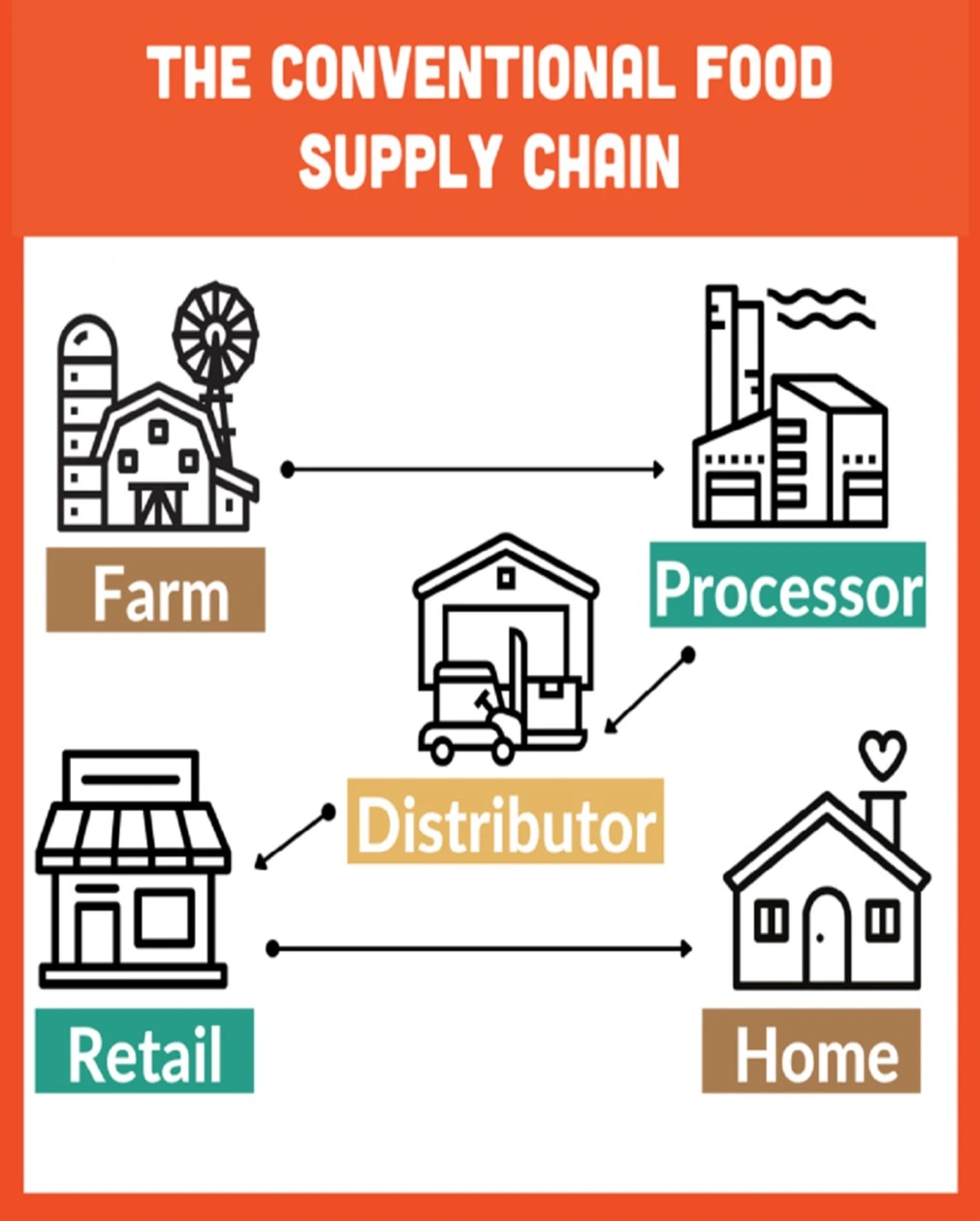 the_conventional_food_supply_chain