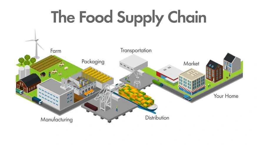 the_food_supply_chain